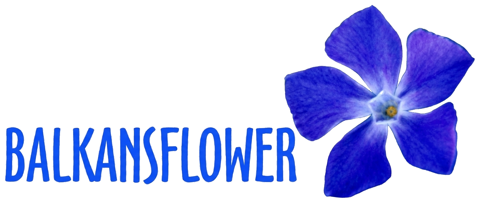 Balkanu Zieds / Balkansflower — Latvia